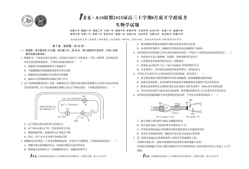安徽省A10联盟2024-2025学年高三上学期8月底开学考试生物试题(PDF版附解析)第1页