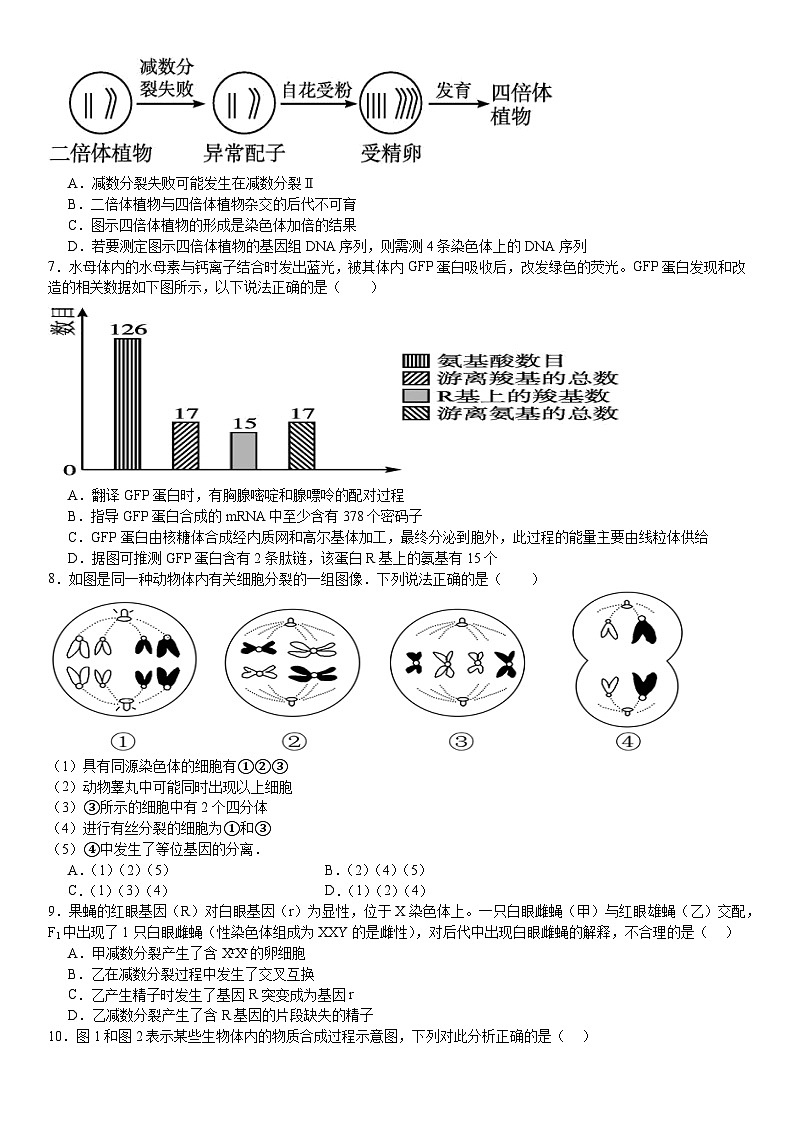 河南省安阳市林州市第一中学2024-2025学年高二上学期8月月考生物试题(Word版附解析)第2页