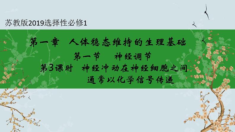 苏教版2019高二生物选修一 1.1+神经调节(第3课时) 课件第1页