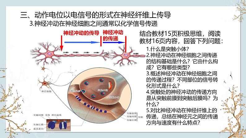 苏教版2019高二生物选修一 1.1+神经调节(第3课时) 课件第5页