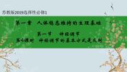 高中生物苏教版 (2019)选择性必修1 稳态与调节第一节 神经调节精品课件ppt
