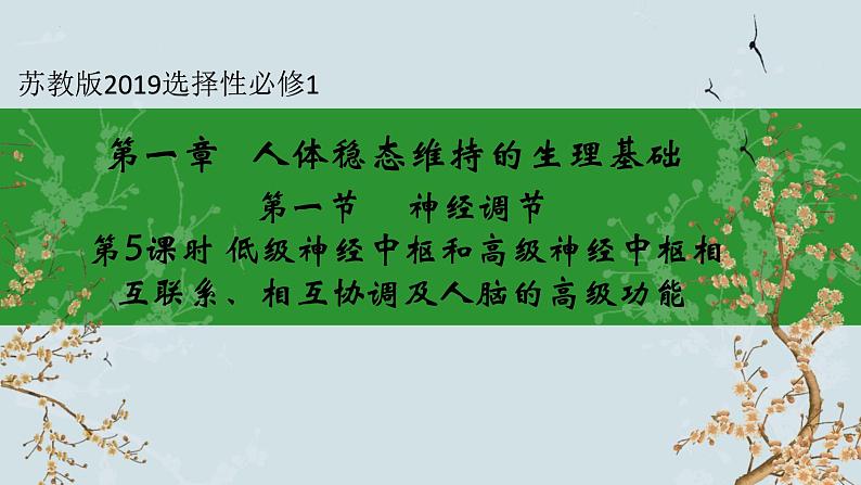 苏教版2019高二生物选修一 1.1 神经调节(第5课时) 课件01