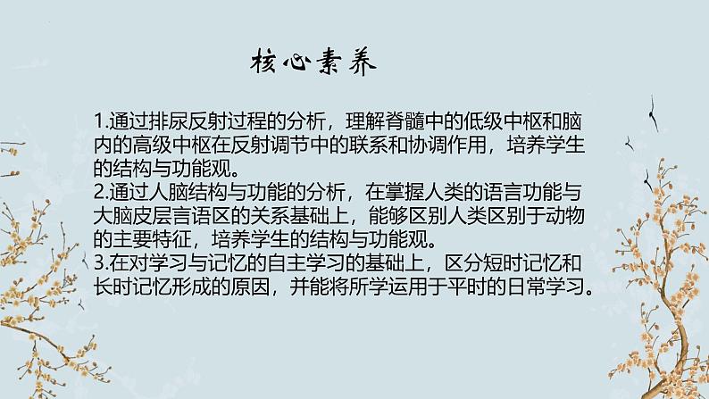 苏教版2019高二生物选修一 1.1 神经调节(第5课时) 课件02