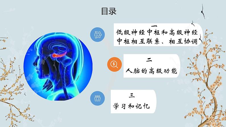 苏教版2019高二生物选修一 1.1 神经调节(第5课时) 课件03