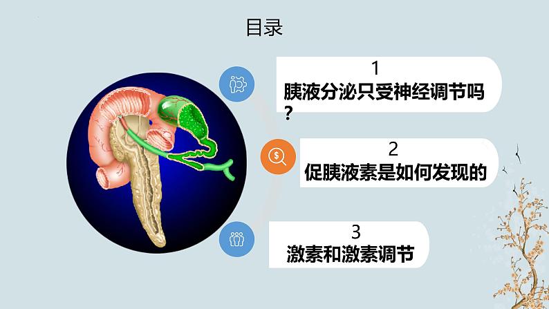 苏教版2019高二生物选修一 1.2 体液调节(第1课时) 课件03