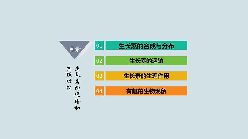 苏教版2019高二生物选修一 4.1 植物生长素(第2课时) 课件03