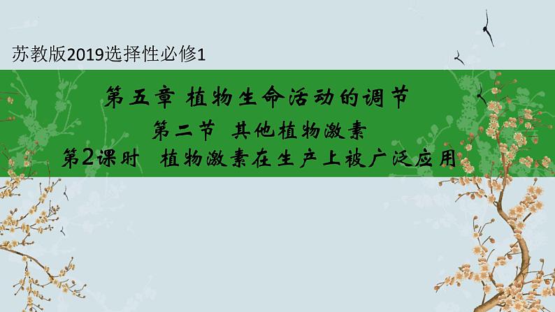 苏教版2019高二生物选修一 4.2 其他植物激素(第2课时) 课件01