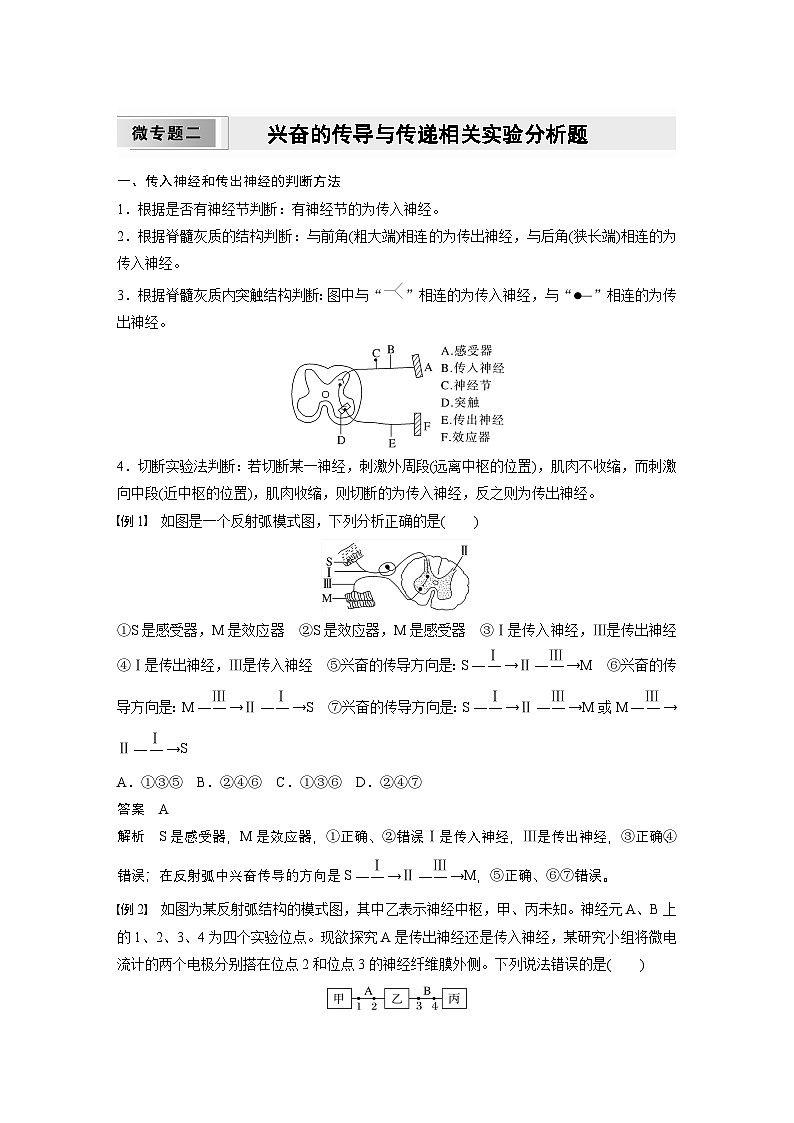 2024高中生物选择性必修第一册(人教版2019)同步讲义第2章微专题二兴奋的传导与传递相关实验分析题(Word版附解析)01