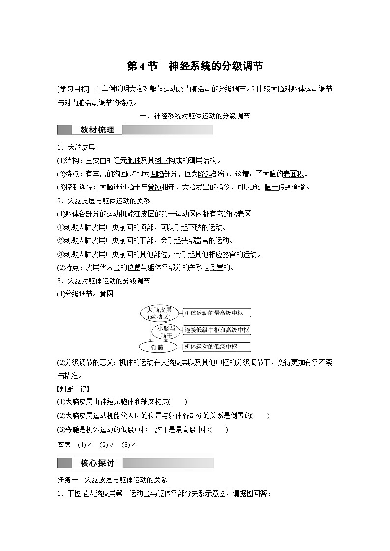 2024高中生物选择性必修第一册(人教版2019)同步讲义第2章第4节神经系统的分级调节(Word版附解析)第1页