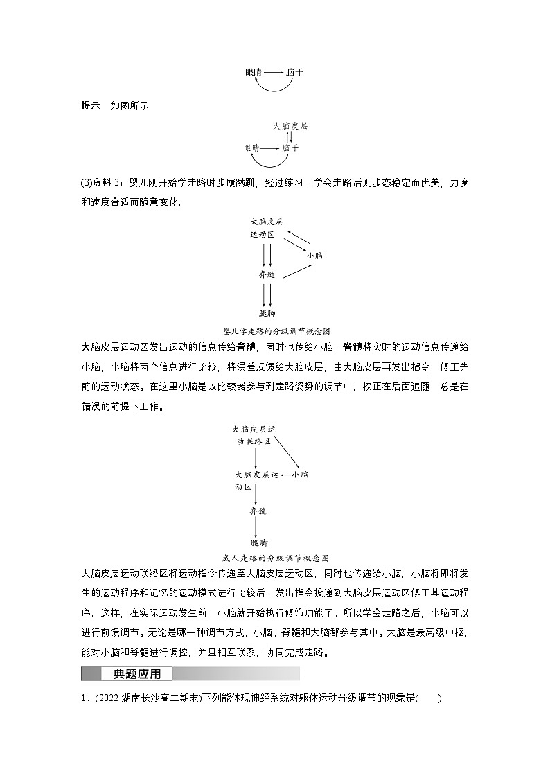 2024高中生物选择性必修第一册(人教版2019)同步讲义第2章第4节神经系统的分级调节(Word版附解析)第3页