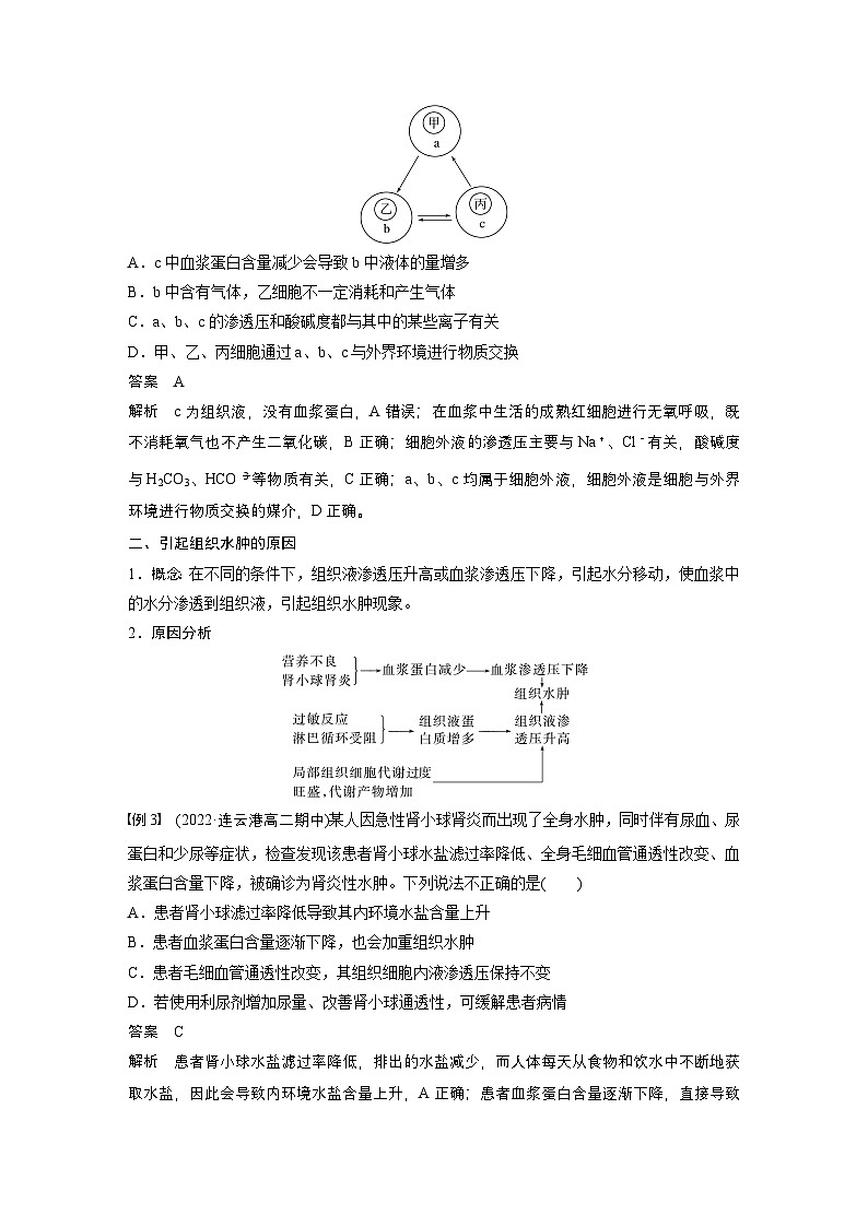 2024高中生物选择性必修第一册(人教版2019)同步讲义第1章微专题一内环境的结构识别、跨膜分析及组织水肿原因(Word版附解析)02