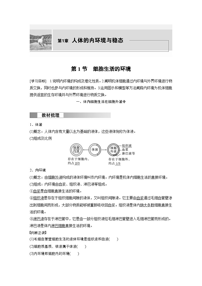2024高中生物选择性必修第一册(人教版2019)同步讲义第1章第1节细胞生活的环境(Word版附解析)01