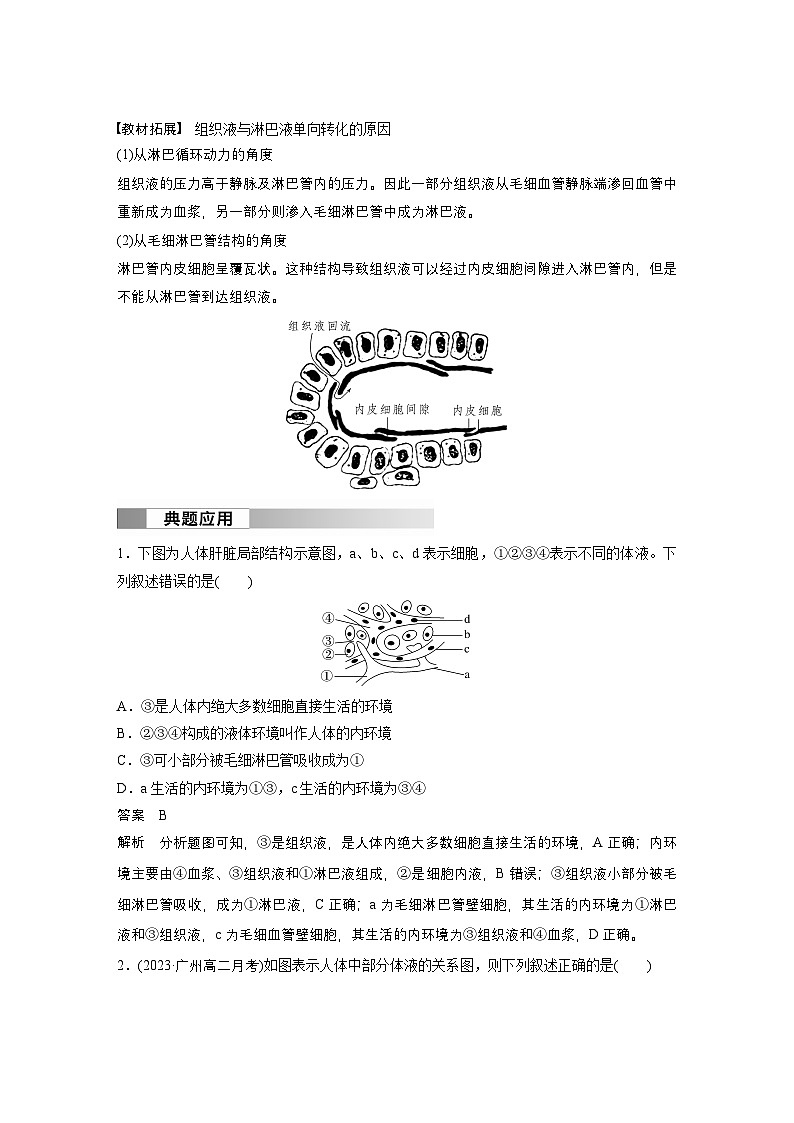2024高中生物选择性必修第一册(人教版2019)同步讲义第1章第1节细胞生活的环境(Word版附解析)03