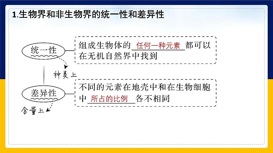 蘇教版2019高一生物必修一1.1 細胞中的元素和化合物(課件)第8頁