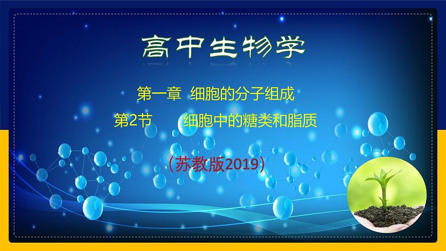 蘇教版2019高一生物必修一1.2 細(xì)胞中的糖類和脂質(zhì)（課件）第1頁