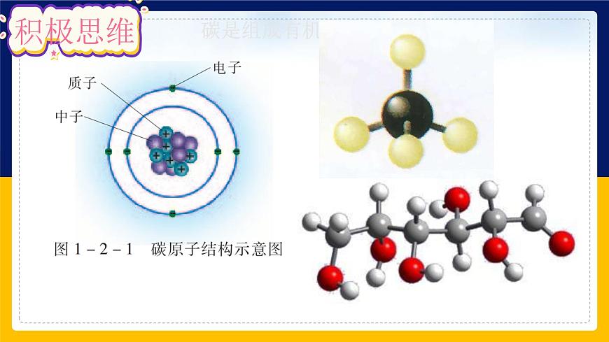 蘇教版2019高一生物必修一1.2 細(xì)胞中的糖類和脂質(zhì)（課件）第4頁