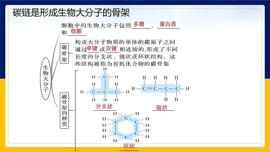 蘇教版2019高一生物必修一1.2 細(xì)胞中的糖類和脂質(zhì)（課件）第5頁