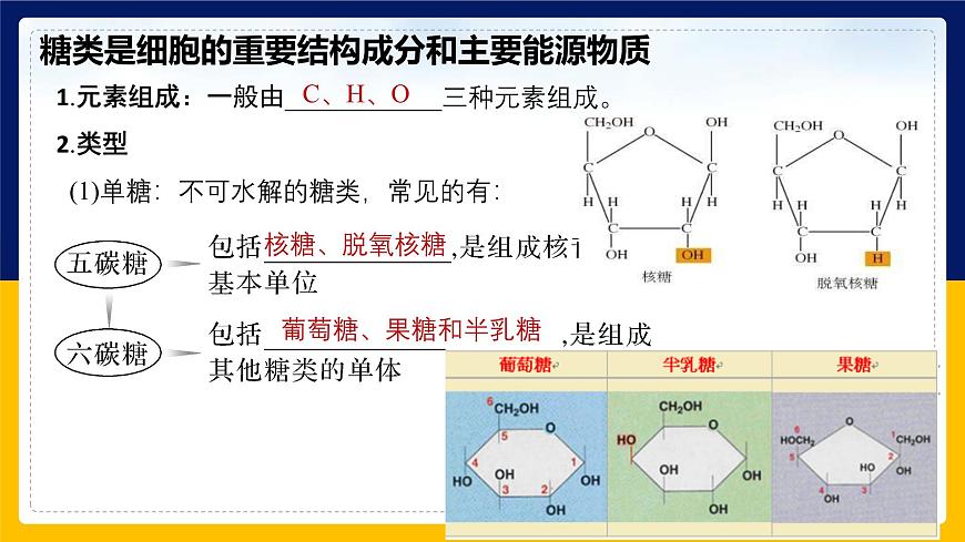 蘇教版2019高一生物必修一1.2 細(xì)胞中的糖類和脂質(zhì)（課件）第8頁