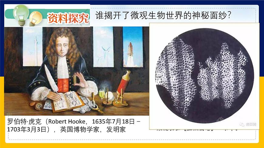 蘇教版2019高一生物必修一2.1 細胞學說——現(xiàn)代生物學的“基石”（課件）第6頁