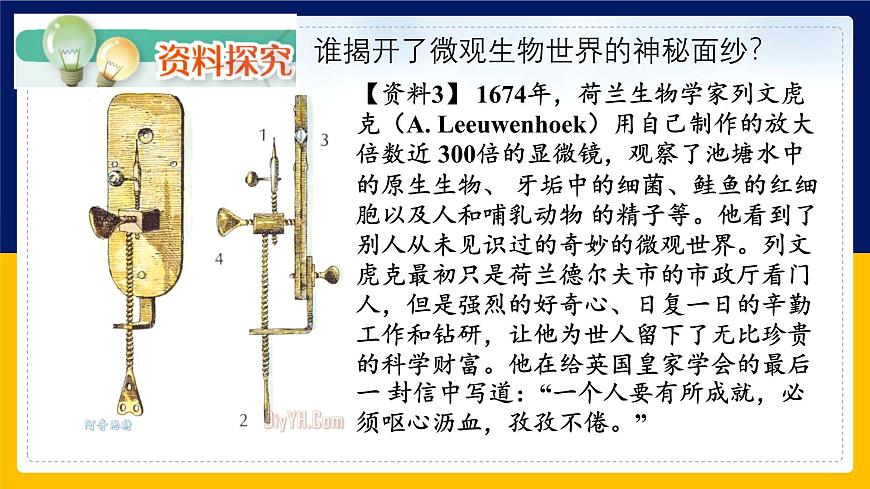 蘇教版2019高一生物必修一2.1 細胞學說——現(xiàn)代生物學的“基石”（課件）第7頁