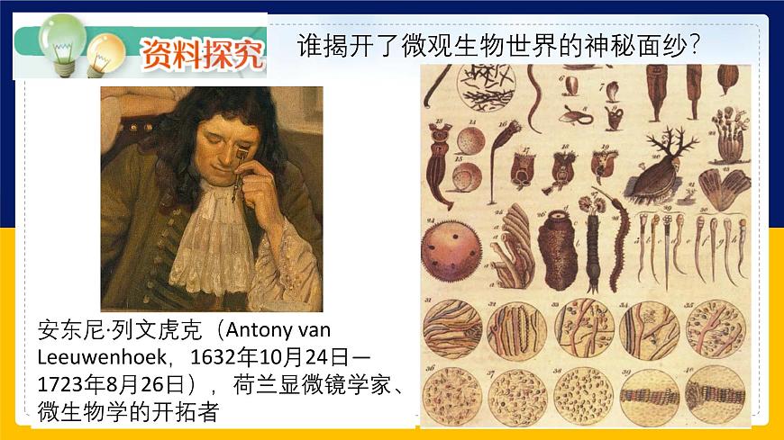 蘇教版2019高一生物必修一2.1 細胞學說——現(xiàn)代生物學的“基石”（課件）第8頁
