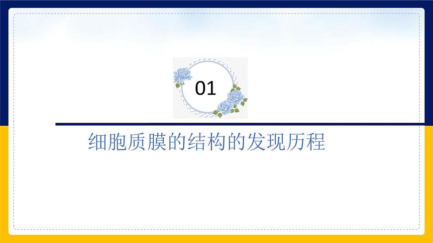 蘇教版2019高一生物必修一2.2.1 細胞的結(jié)構(gòu)和生命活動——細胞質(zhì)膜（課件）第4頁