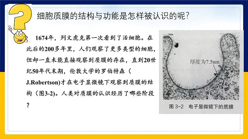 蘇教版2019高一生物必修一2.2.1 細胞的結(jié)構(gòu)和生命活動——細胞質(zhì)膜（課件）第5頁