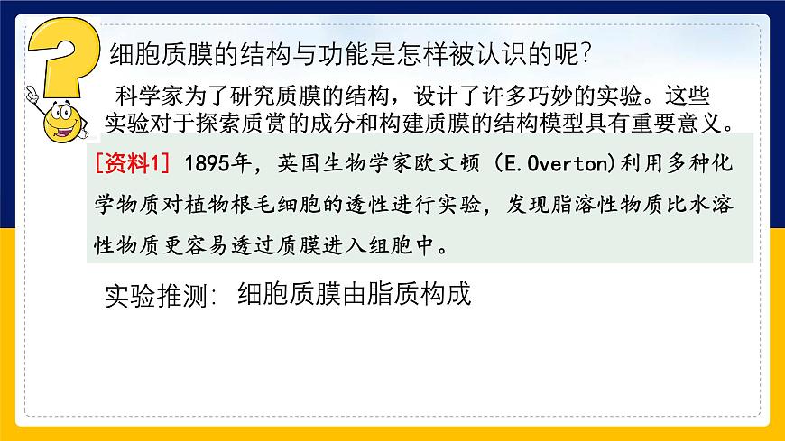 蘇教版2019高一生物必修一2.2.1 細胞的結(jié)構(gòu)和生命活動——細胞質(zhì)膜（課件）第6頁