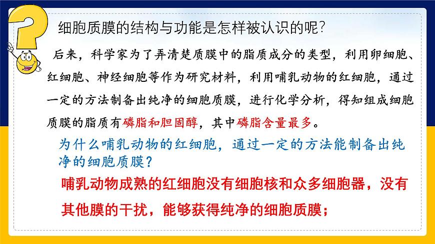蘇教版2019高一生物必修一2.2.1 細胞的結(jié)構(gòu)和生命活動——細胞質(zhì)膜（課件）第7頁