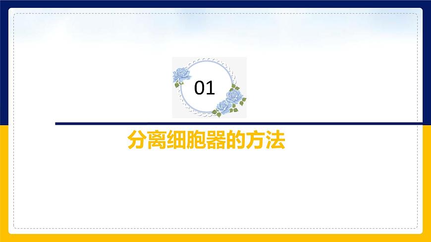 蘇教版2019高一生物必修一2.2.3 細胞的結構和生命活動——細胞核（課件）第3頁
