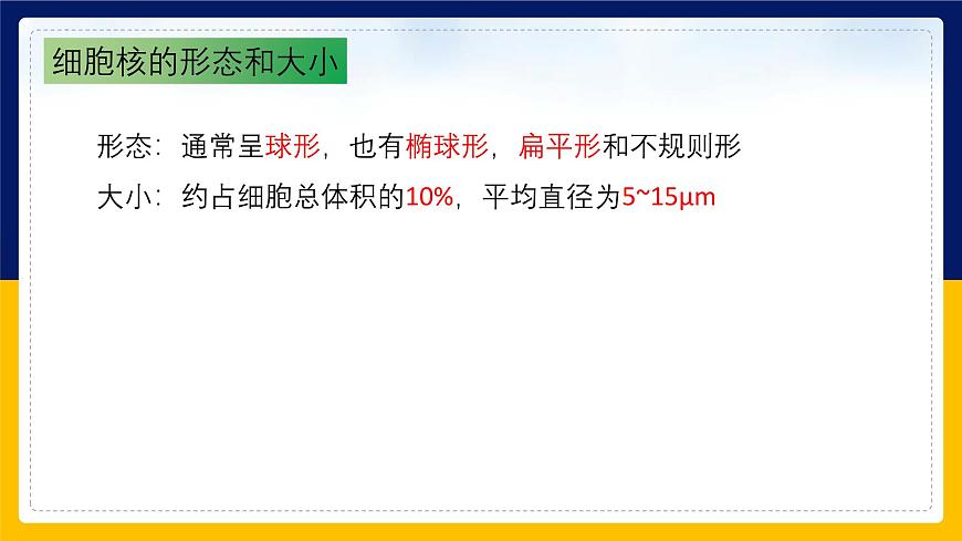 蘇教版2019高一生物必修一2.2.3 細胞的結構和生命活動——細胞核（課件）第7頁