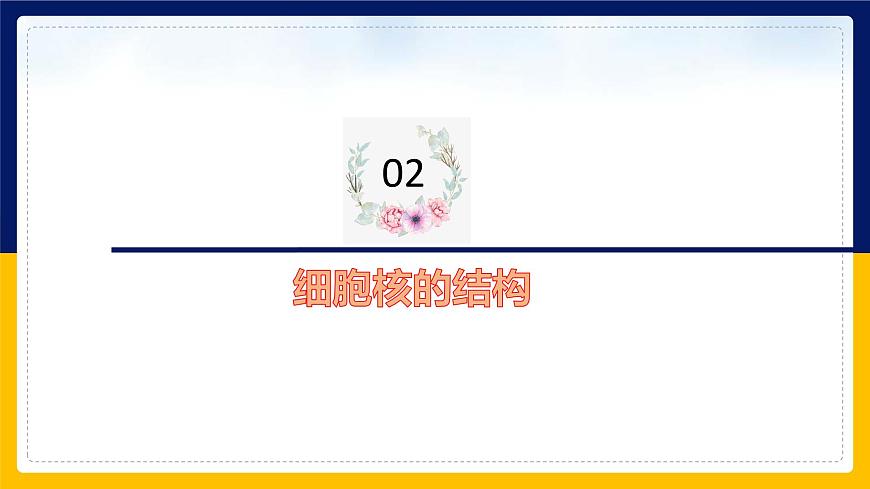 蘇教版2019高一生物必修一2.2.3 細胞的結構和生命活動——細胞核（課件）第8頁