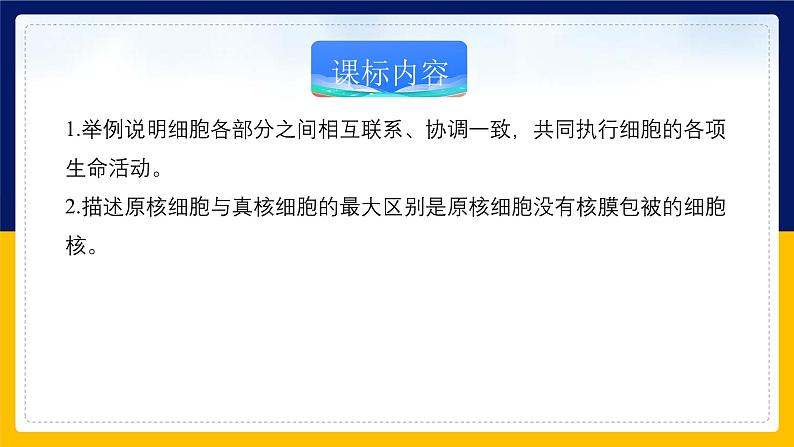 苏教版2019高一生物必修一2.2.4 细胞的结构和生命活动——细胞各部分结构分工合作(课件)02