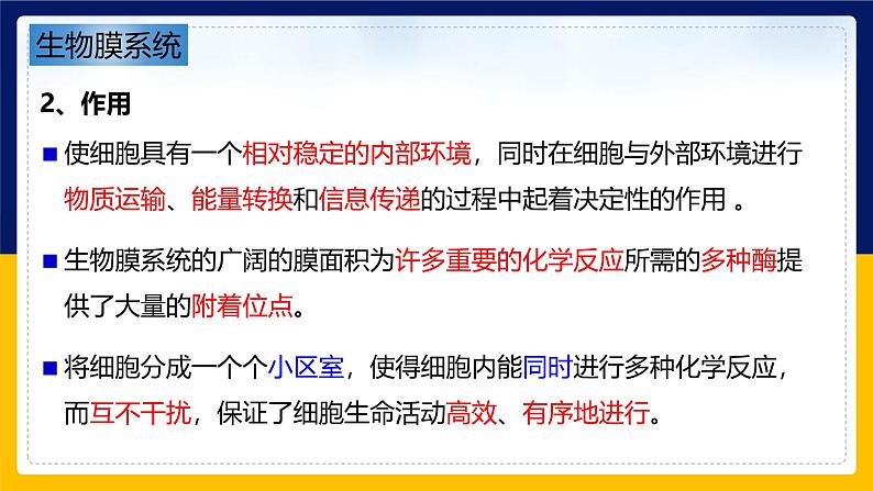 苏教版2019高一生物必修一2.2.4 细胞的结构和生命活动——细胞各部分结构分工合作(课件)05