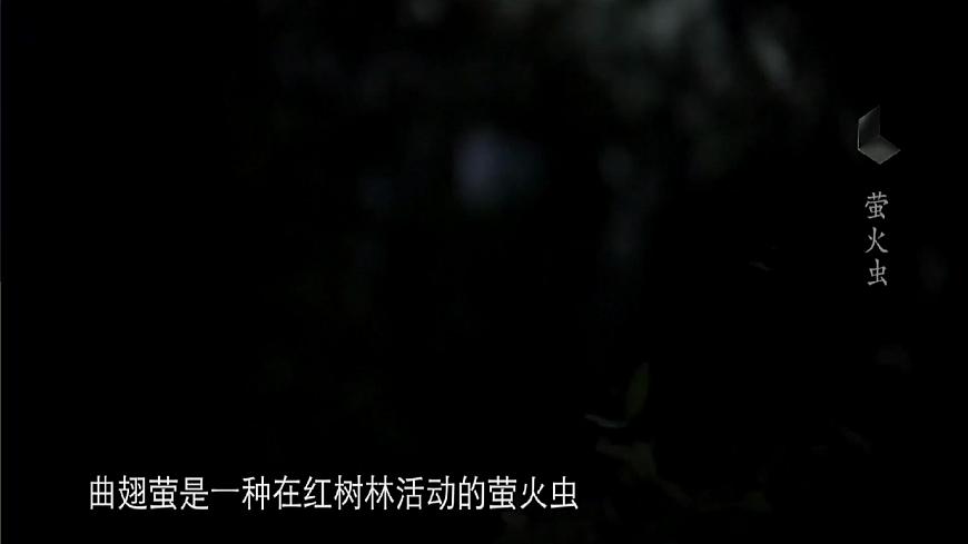 蘇教版2019高一生物必修一3.1.2 ATP是驅(qū)動細(xì)胞生命活動的直接能源物質(zhì)（課件）第3頁