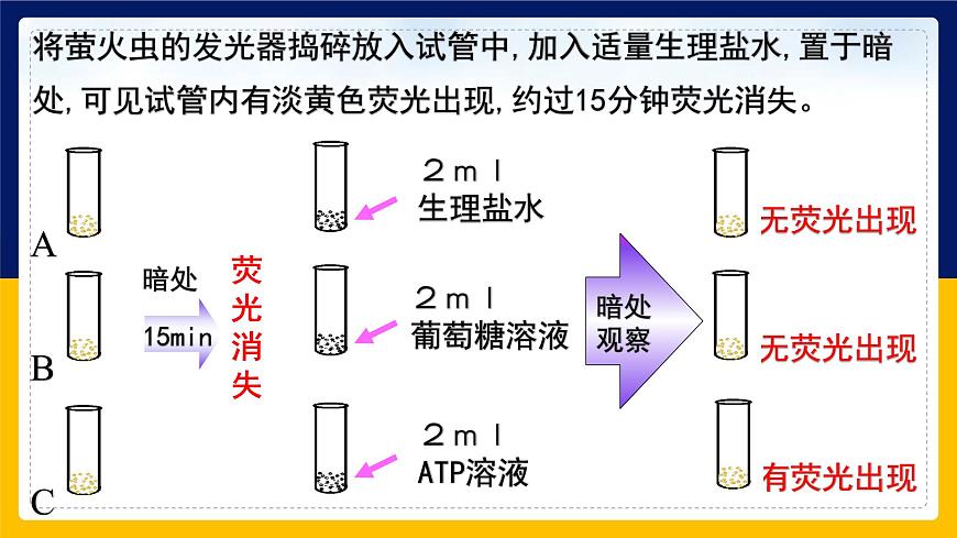 蘇教版2019高一生物必修一3.1.2 ATP是驅(qū)動細(xì)胞生命活動的直接能源物質(zhì)（課件）第4頁