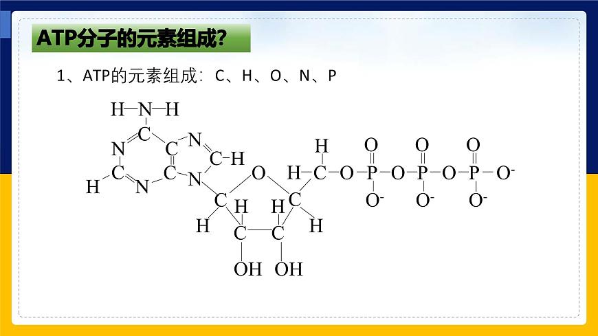 蘇教版2019高一生物必修一3.1.2 ATP是驅(qū)動細(xì)胞生命活動的直接能源物質(zhì)（課件）第7頁