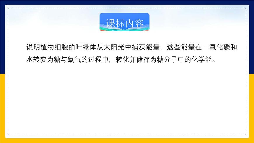 蘇教版2019高一生物必修一3.2.2 光合作用——光能的捕獲和轉(zhuǎn)換（課件）第2頁