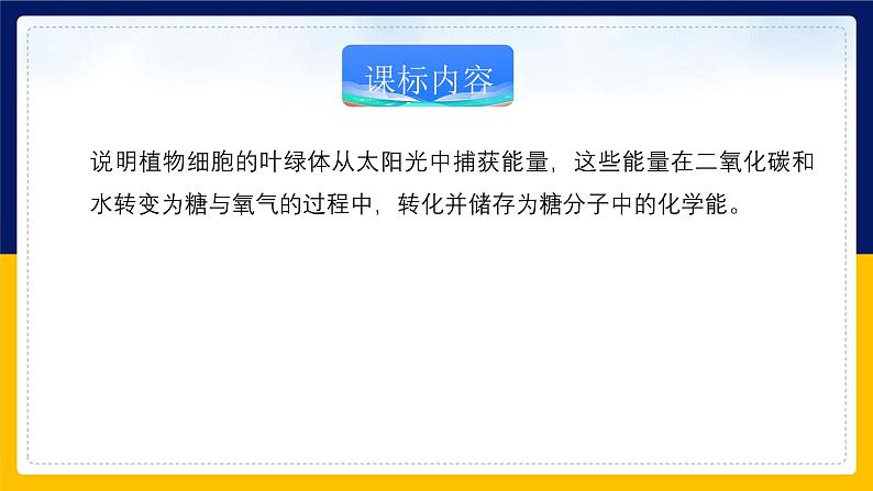 苏教版2019高一生物必修一3.2.2 光合作用——光能的捕获和转换(课件)02