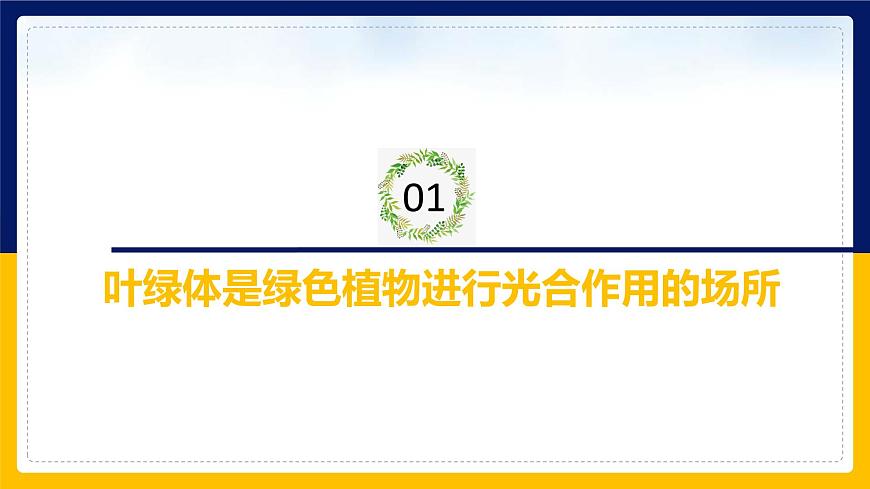 蘇教版2019高一生物必修一3.2.2 光合作用——光能的捕獲和轉(zhuǎn)換（課件）第3頁
