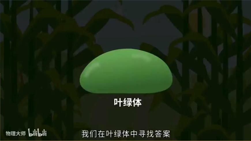 蘇教版2019高一生物必修一3.2.2 光合作用——光能的捕獲和轉(zhuǎn)換（課件）第4頁