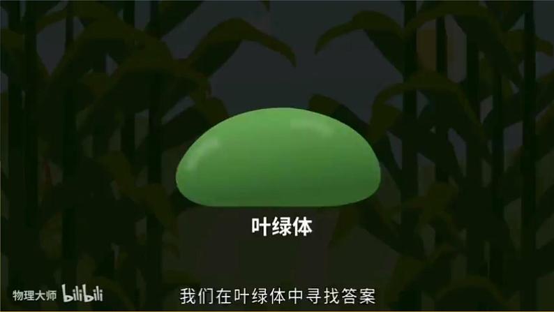 苏教版2019高一生物必修一3.2.2 光合作用——光能的捕获和转换(课件)04
