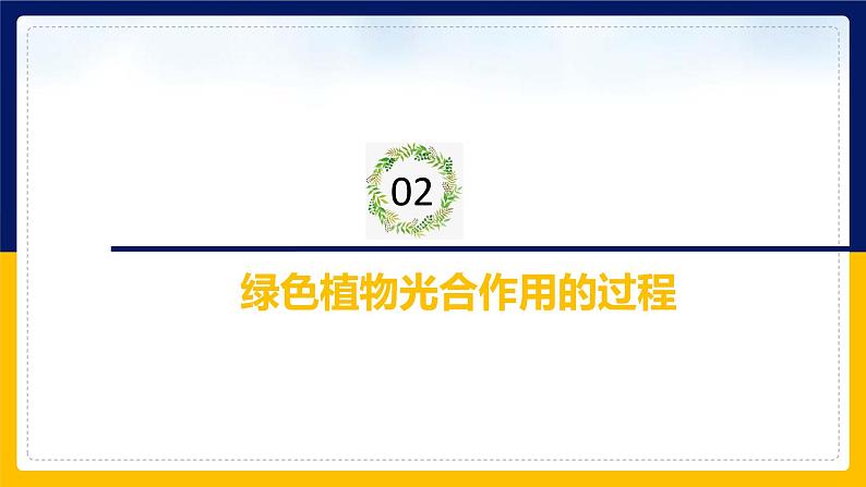 苏教版2019高一生物必修一3.2.2 光合作用——光能的捕获和转换(课件)07