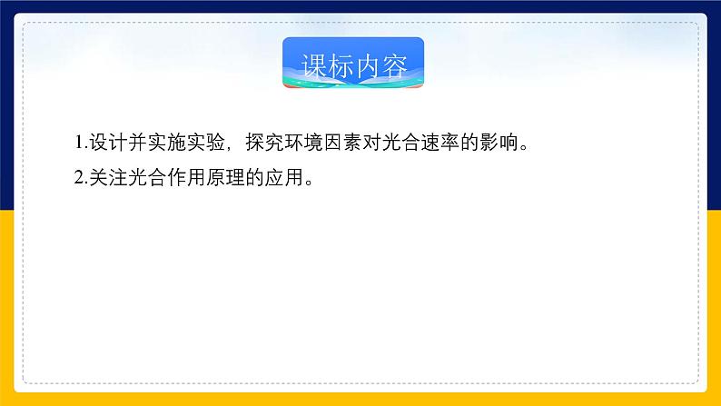 苏教版2019高一生物必修一3.4.1 影响光合作用的环境因素及光合作用原理的应用(课件)02