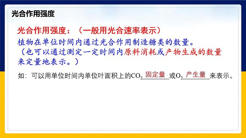 苏教版2019高一生物必修一3.4.1 影响光合作用的环境因素及光合作用原理的应用(课件)03