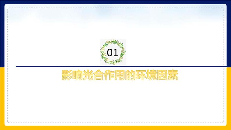 苏教版2019高一生物必修一3.4.1 影响光合作用的环境因素及光合作用原理的应用(课件)04