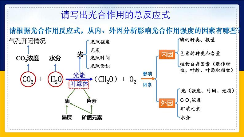 苏教版2019高一生物必修一3.4.1 影响光合作用的环境因素及光合作用原理的应用(课件)05