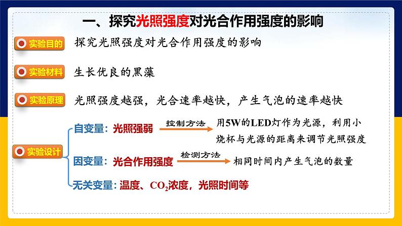 苏教版2019高一生物必修一3.4.1 影响光合作用的环境因素及光合作用原理的应用(课件)06