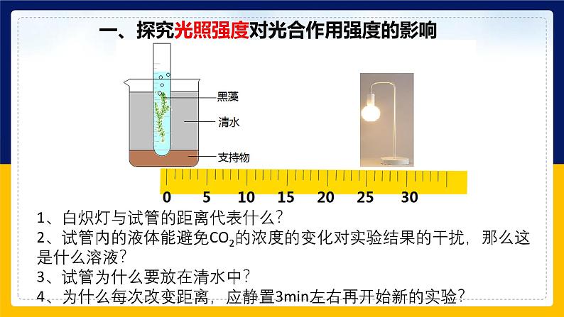 苏教版2019高一生物必修一3.4.1 影响光合作用的环境因素及光合作用原理的应用(课件)07