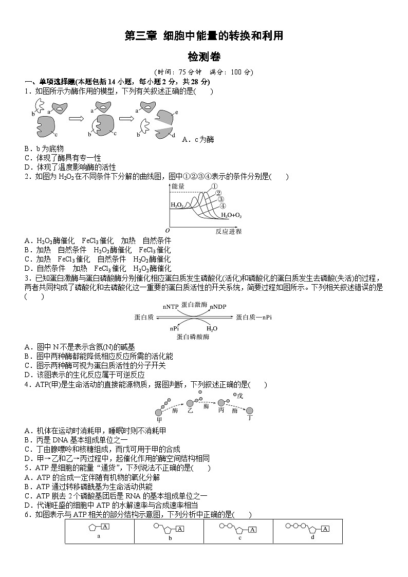 第三章 细胞中能量的转换和利用(原卷版)第1页